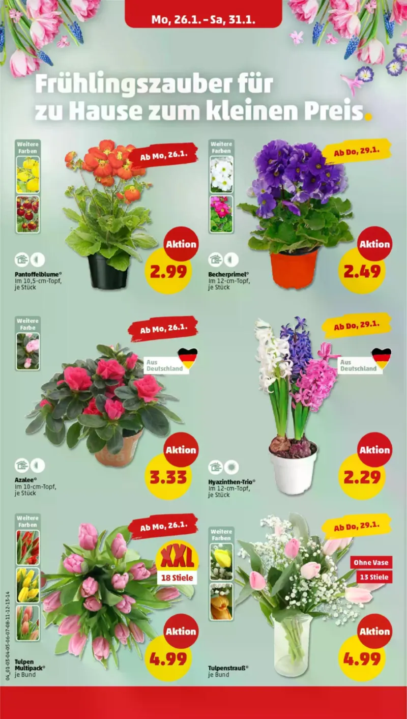 Penny Markt Prospekt vom 26.01.2026, Seite 6