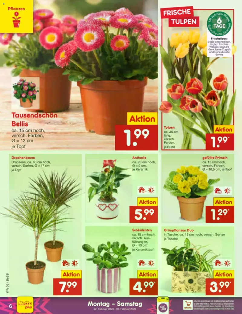 Netto Marken-Discount Prospekt vom 02.02.2026, Seite 6