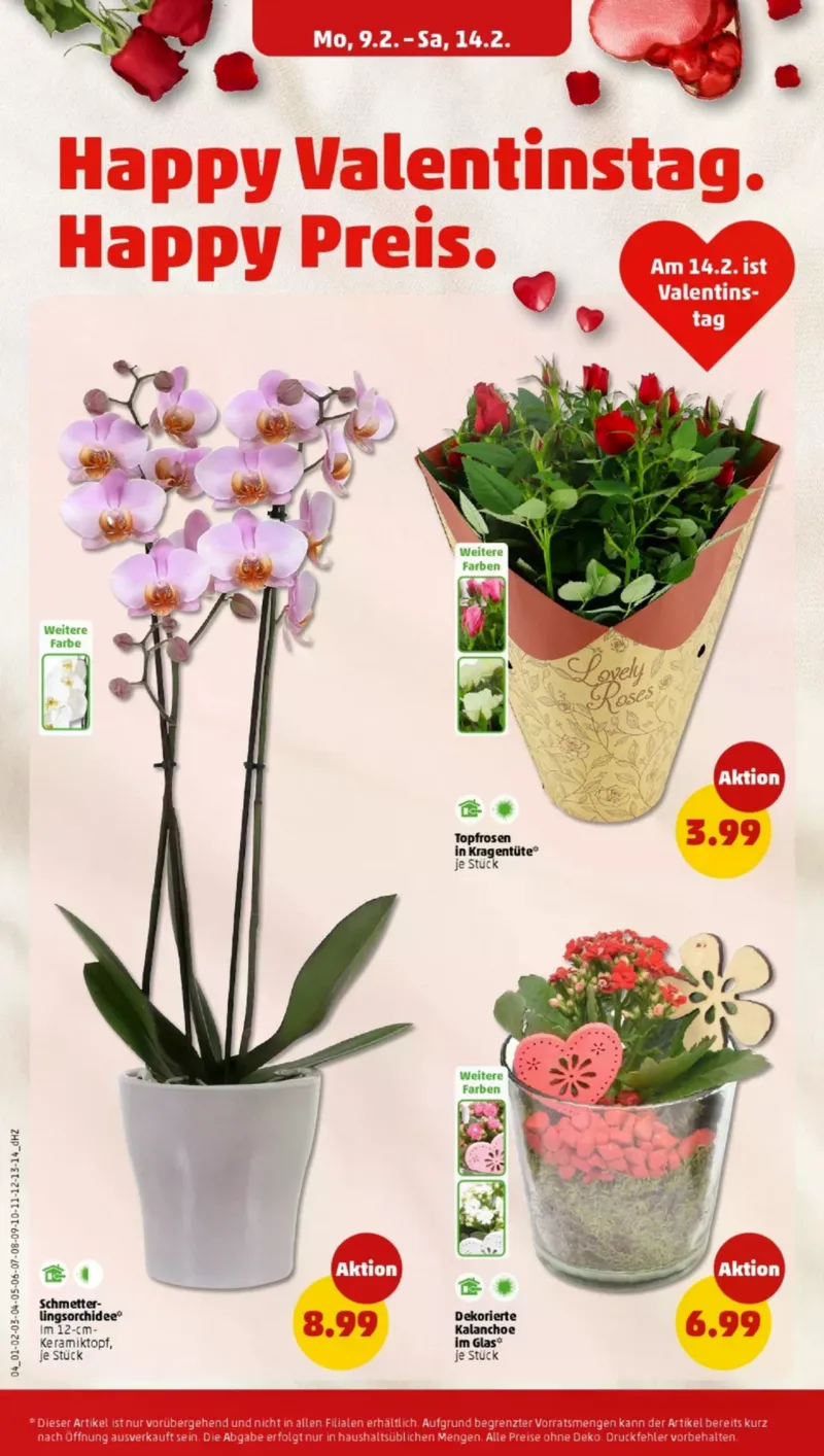 Penny Markt Prospekt vom 09.02.2026, Seite 8