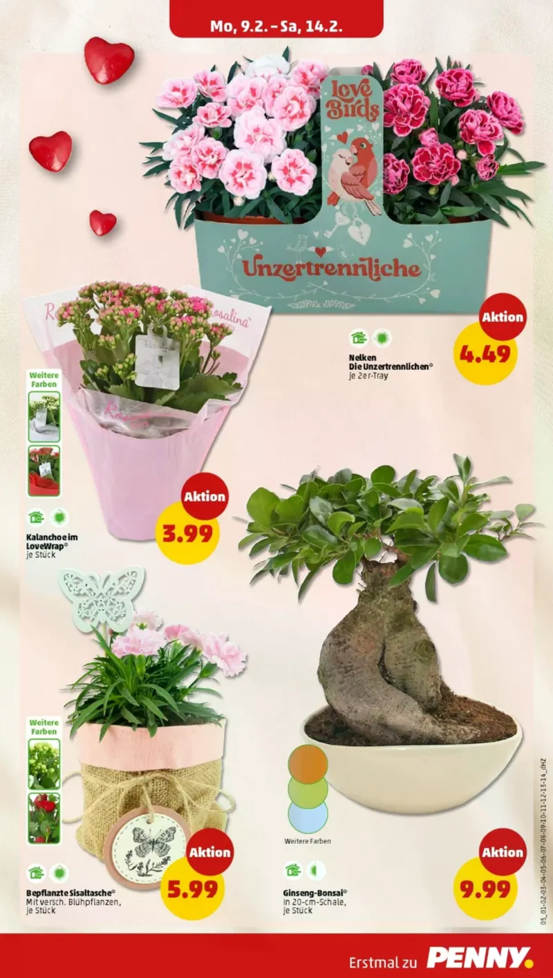 Penny Markt Prospekt vom 09.02.2026, Seite 9
