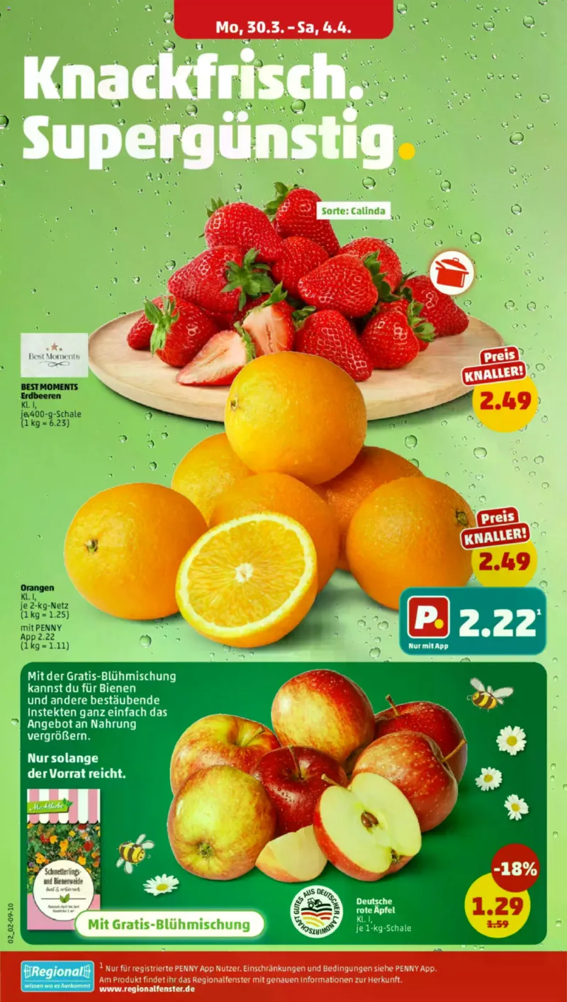 Penny Markt Prospekt vom 30.03.2026, Seite 4