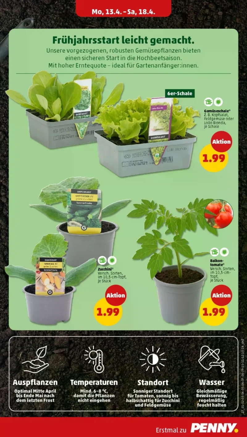 Penny Markt Prospekt vom 13.04.2026, Seite 31