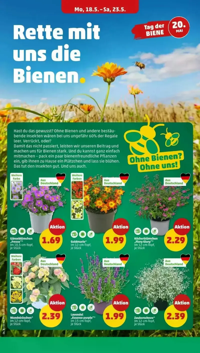 Penny Markt Prospekt vom 18.05.2026, Seite 4