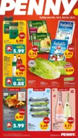 Penny Markt Prospekt vom 18.05.2026