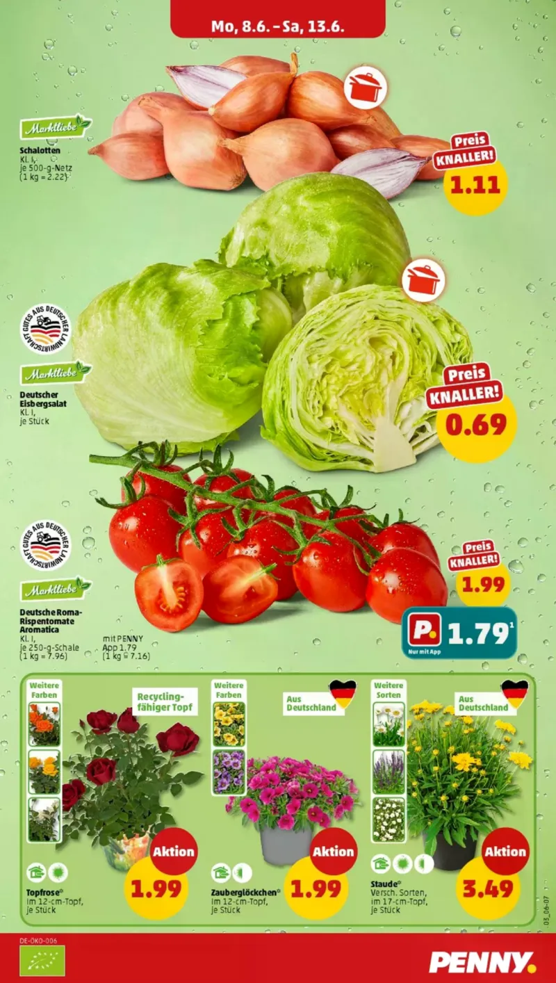 Penny Markt Prospekt vom 08.06.2026, Seite 3