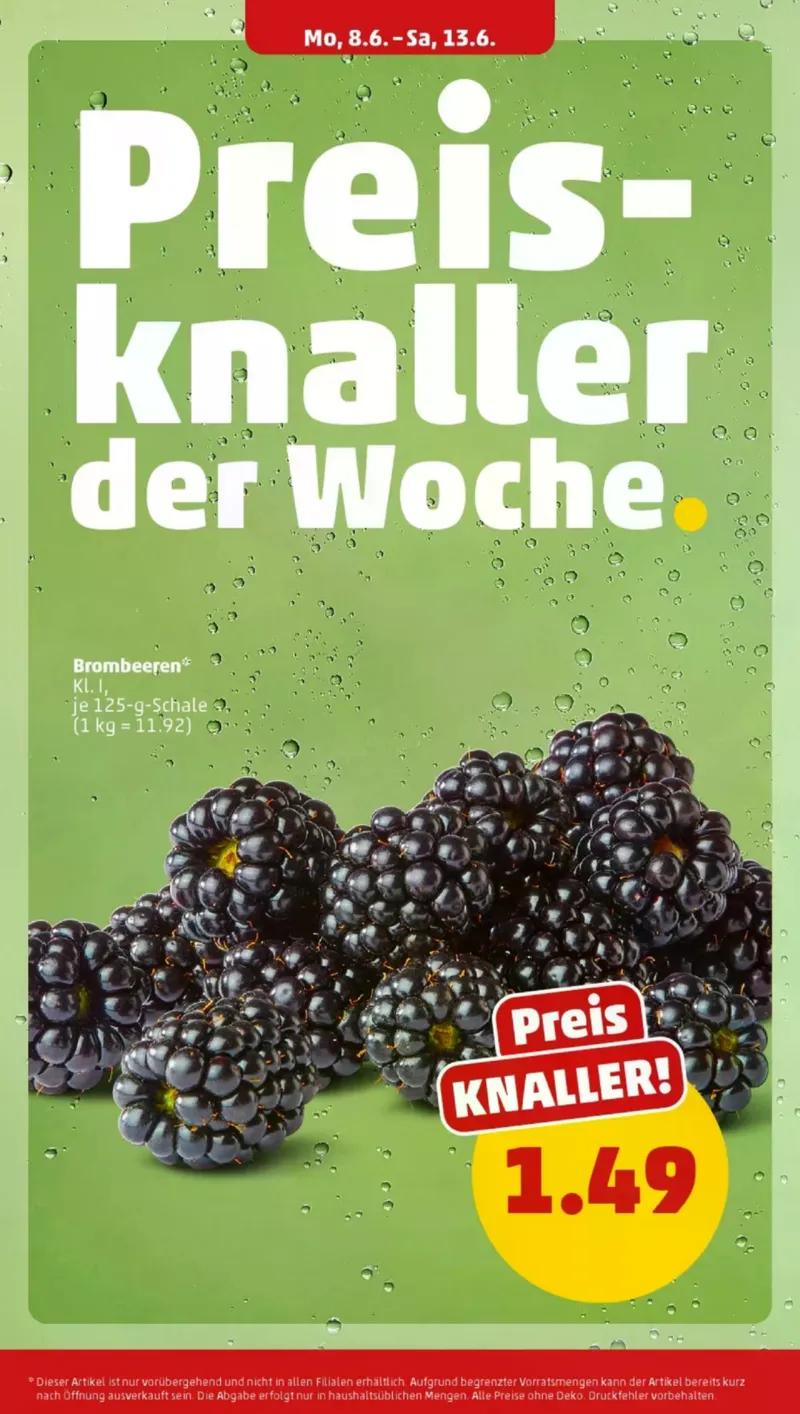 Penny Markt Prospekt vom 08.06.2026, Seite 4
