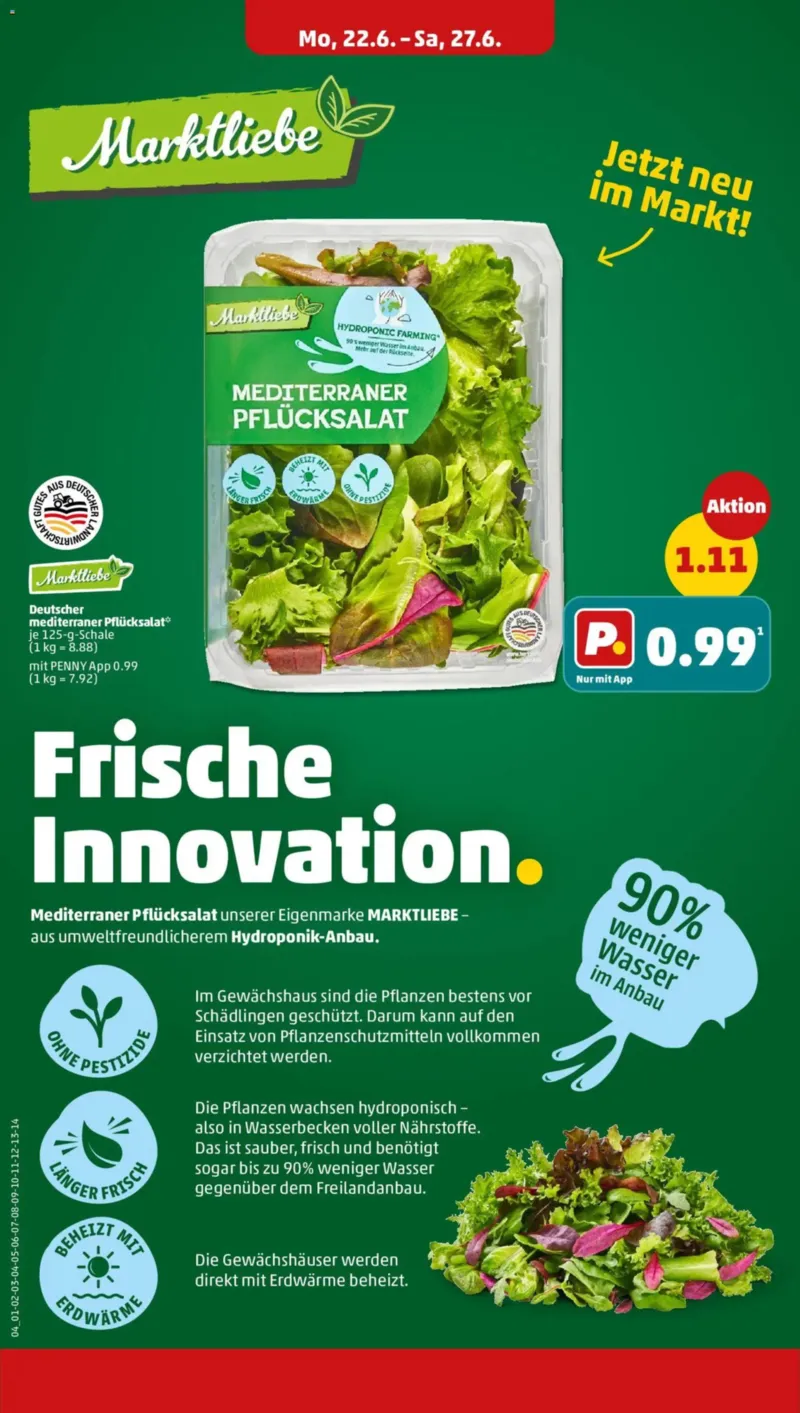 Penny Markt Prospekt vom 22.06.2026, Seite 4