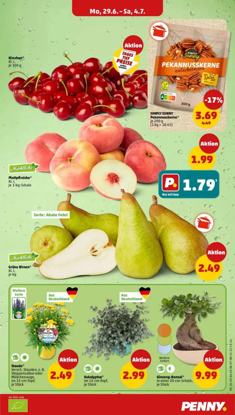 Penny Markt Prospekt vom 29.06.2026, Seite 3