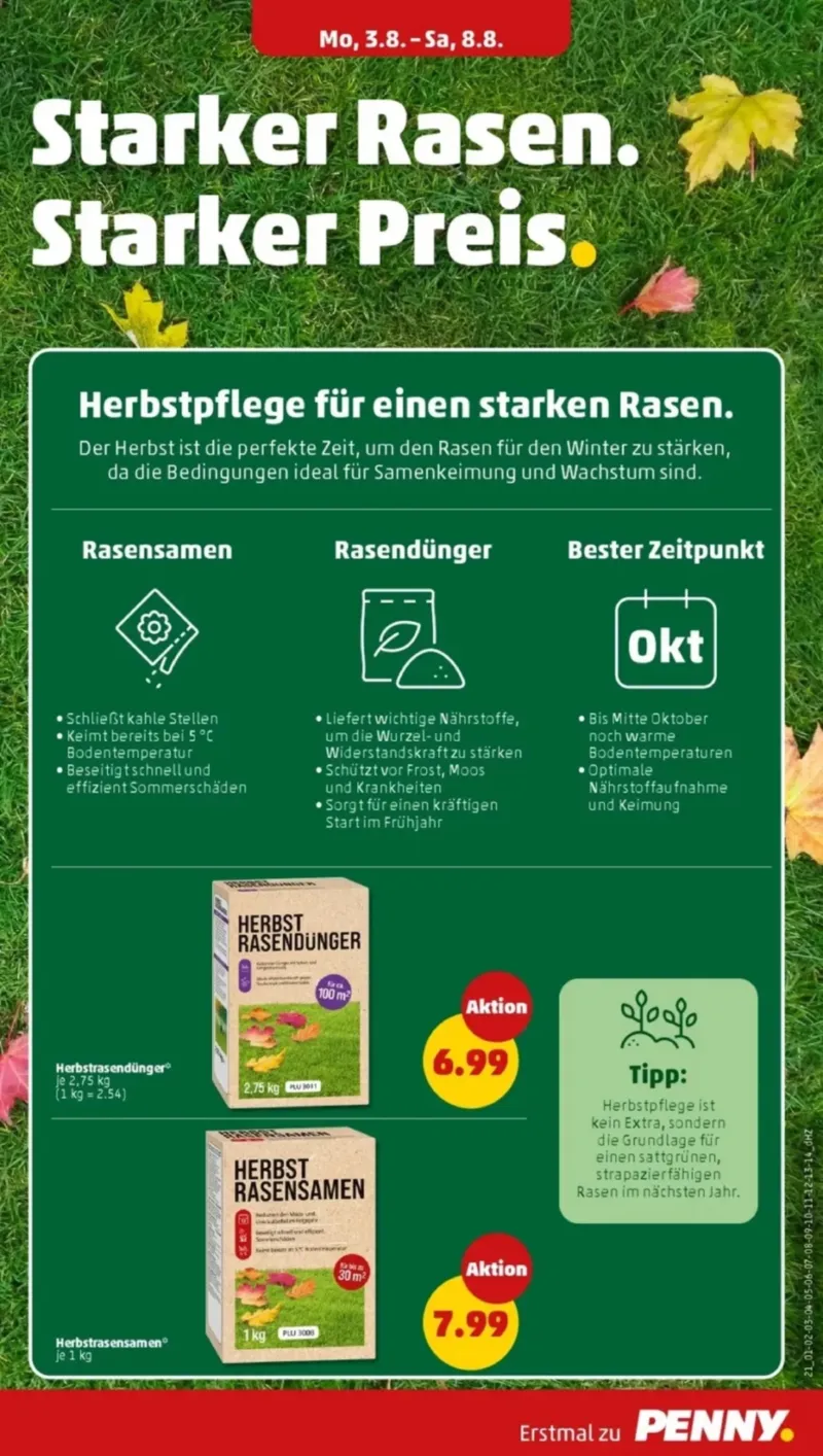 Penny Markt Prospekt vom 03.08.2026, Seite 25