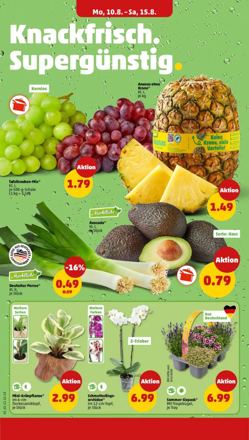 Penny Markt Prospekt vom 10.08.2026, Seite 2