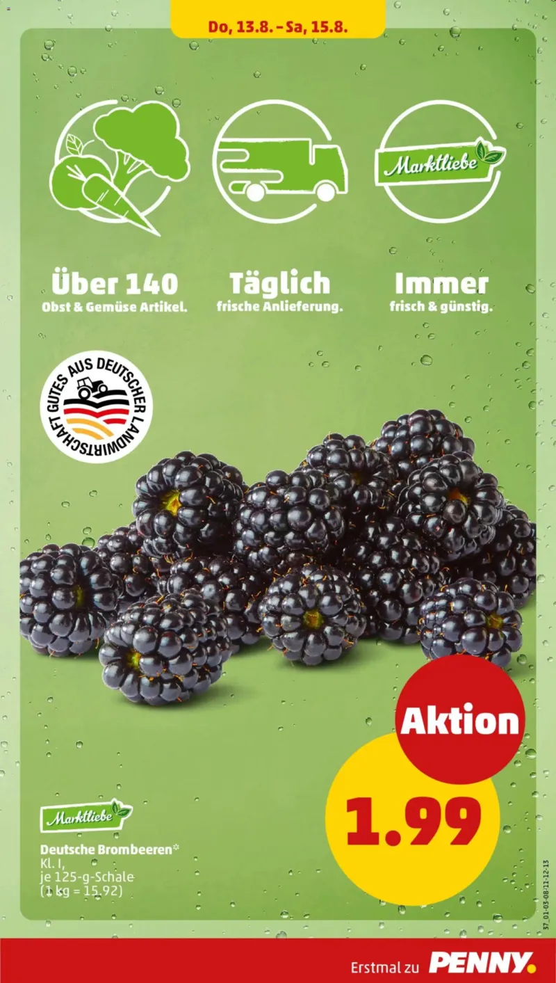 Penny Markt Prospekt vom 10.08.2026, Seite 29