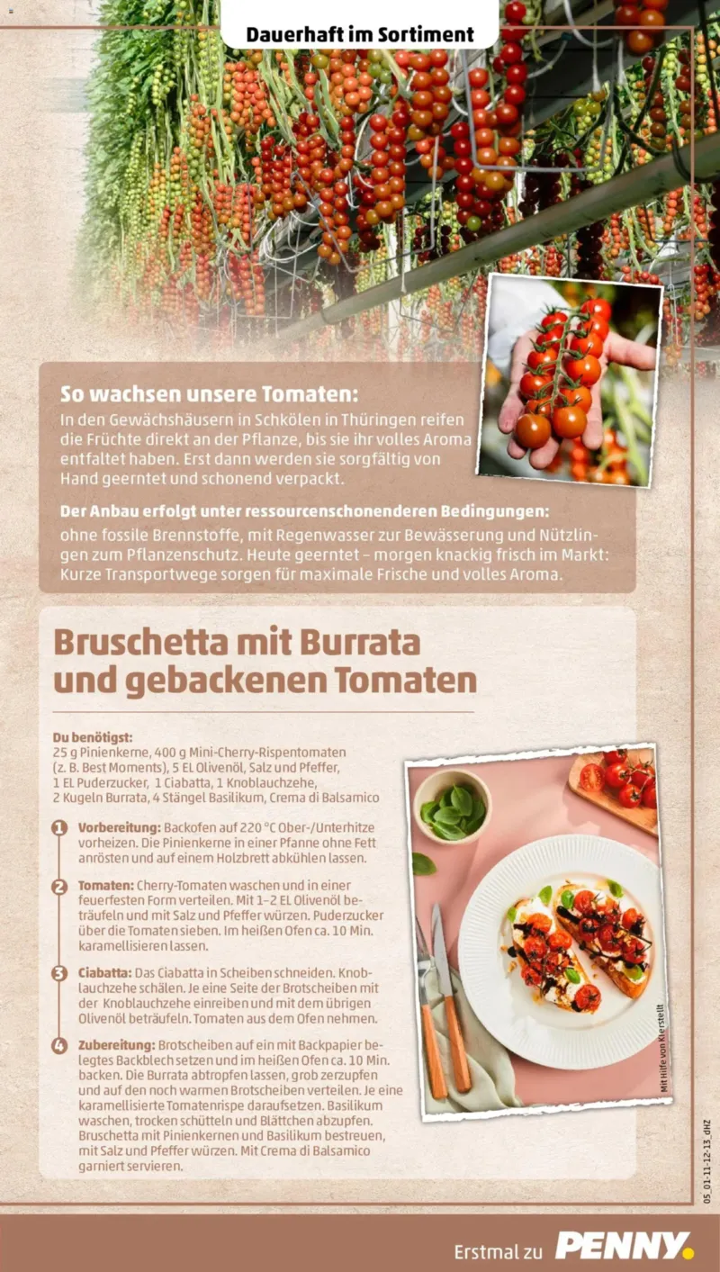Penny Markt Prospekt vom 17.08.2026, Seite 11