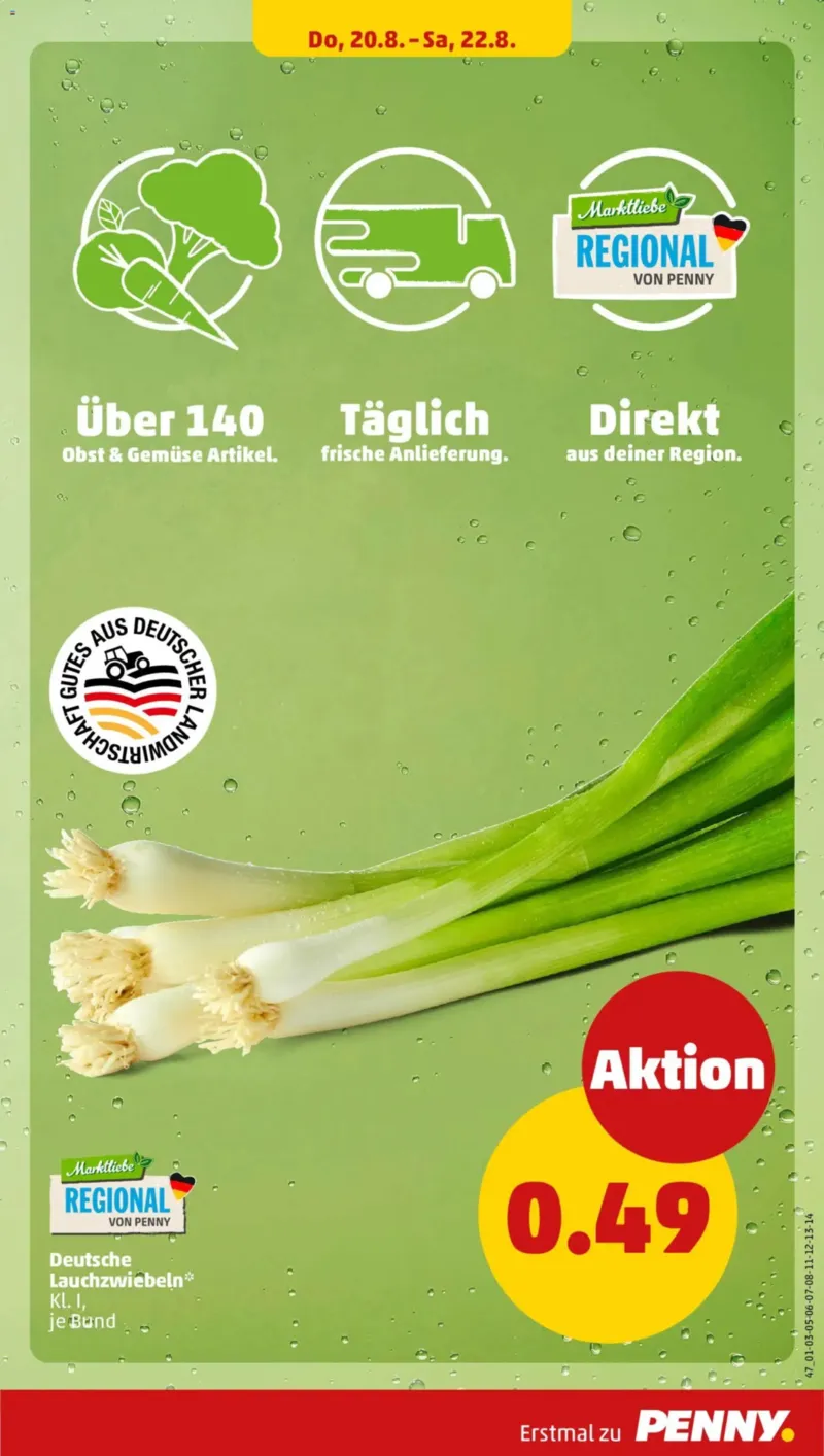 Penny Markt Prospekt vom 17.08.2026, Seite 33