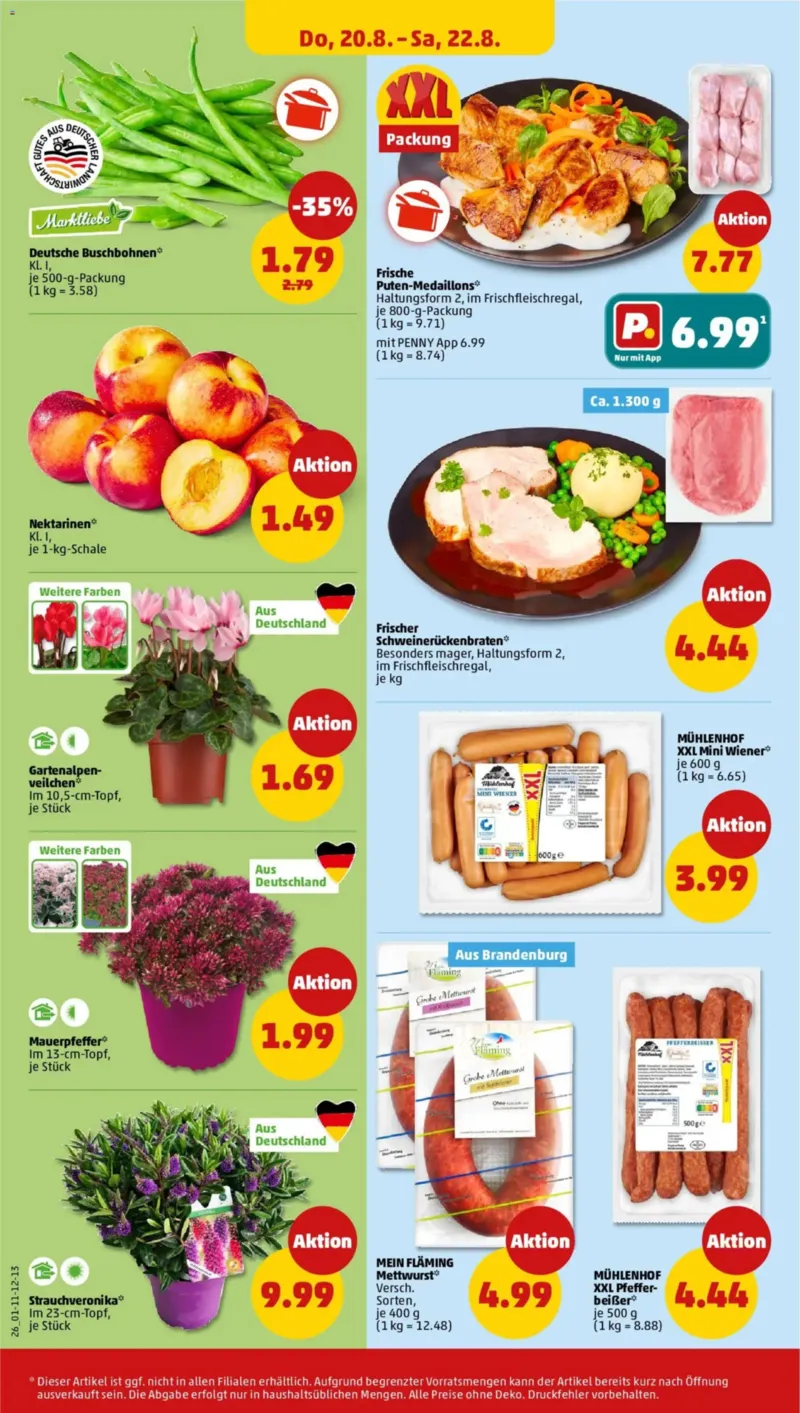 Penny Markt Prospekt vom 17.08.2026, Seite 34