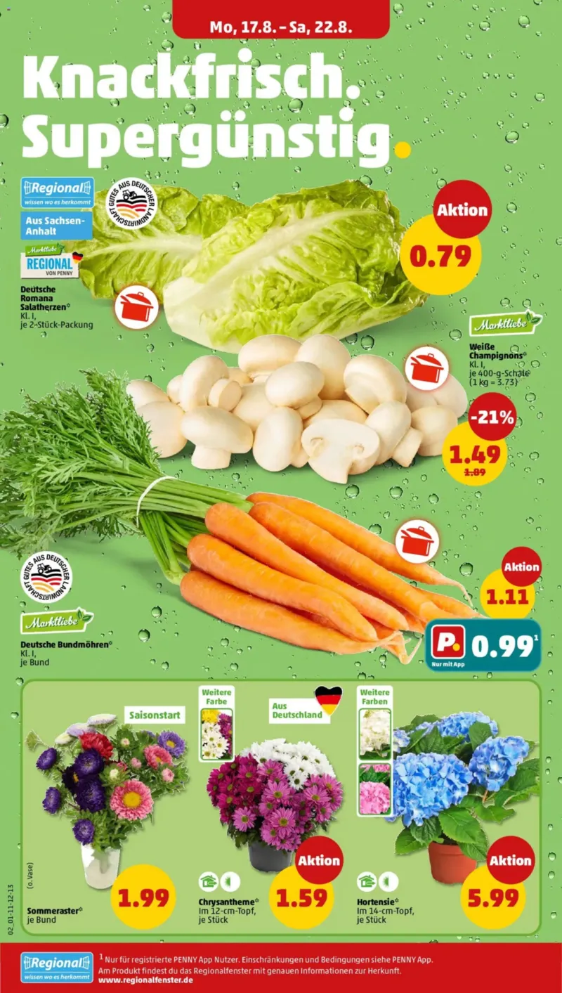 Penny Markt Prospekt vom 17.08.2026, Seite 6