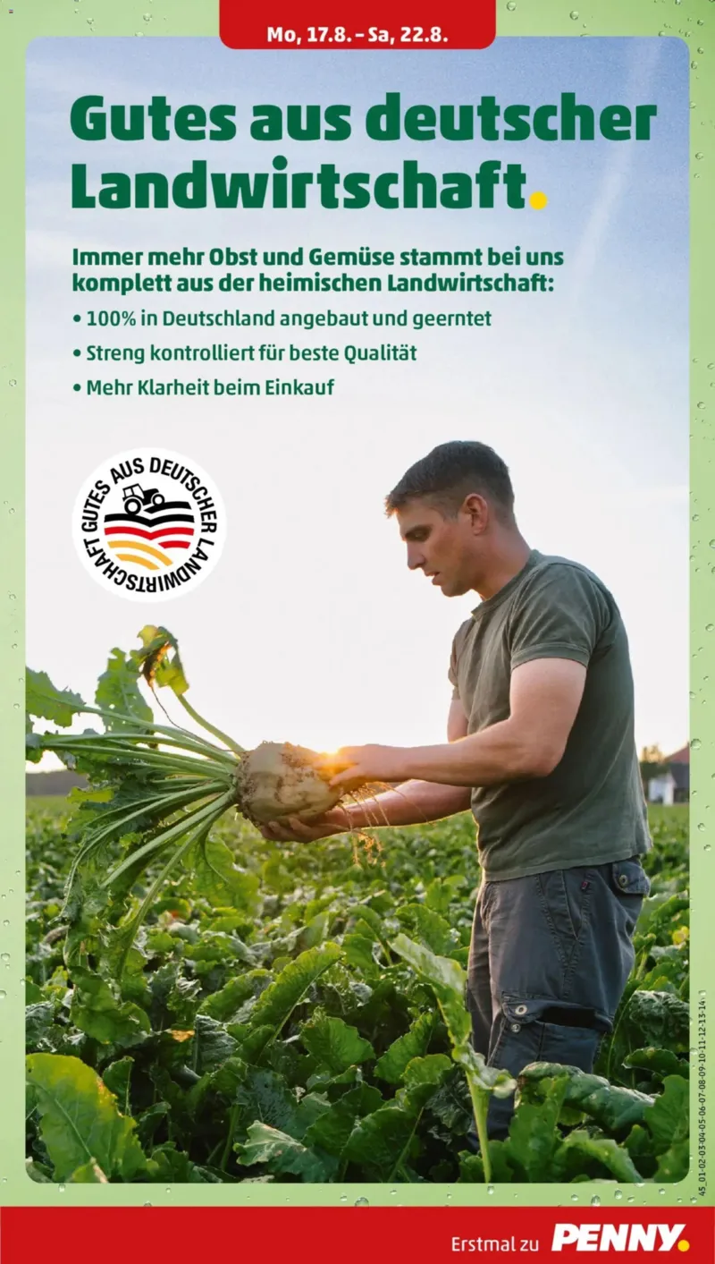 Penny Markt Prospekt vom 17.08.2026, Seite 9