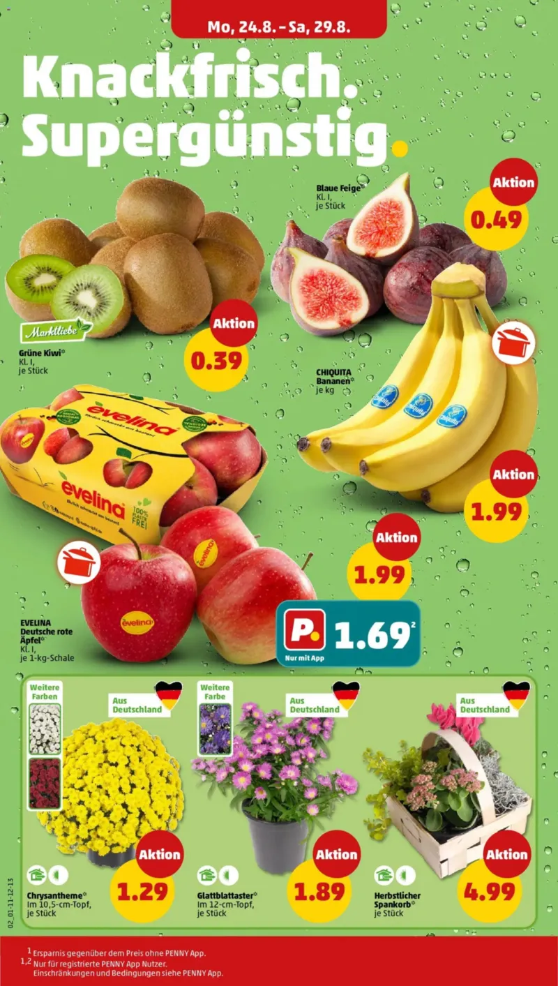 Penny Markt Prospekt vom 24.08.2026, Seite 2