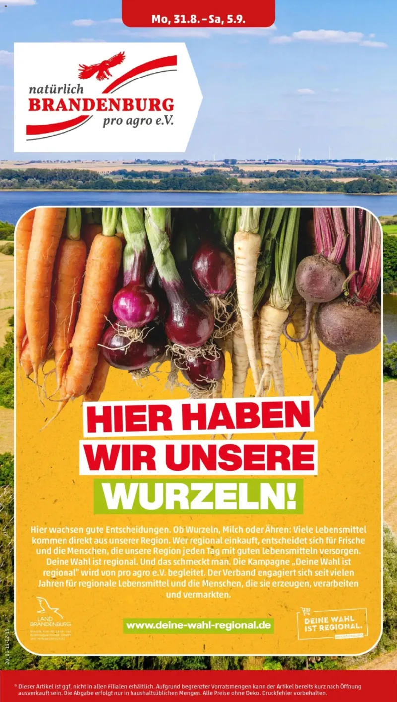 Penny Markt Prospekt vom 31.08.2026, Seite 24