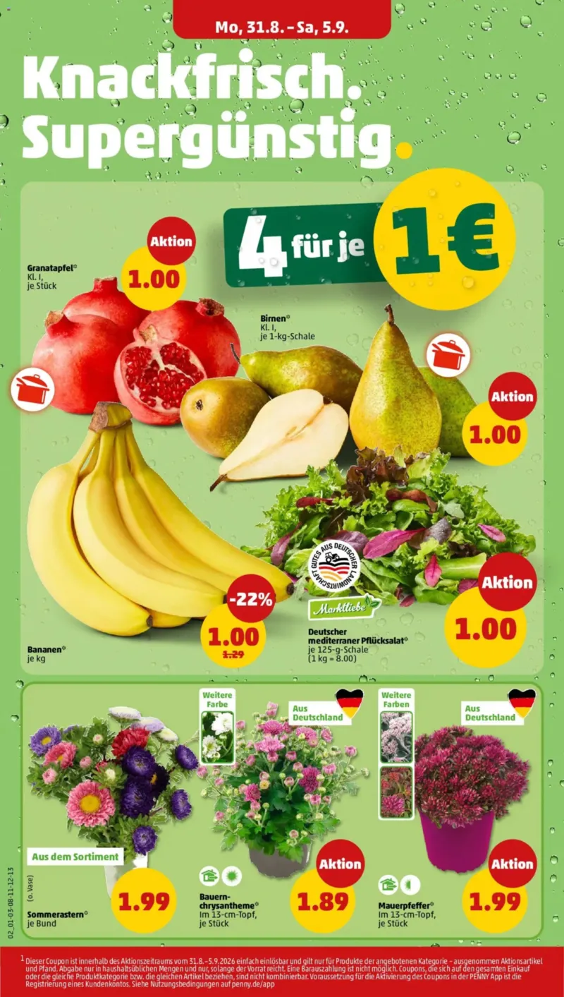Penny Markt Prospekt vom 31.08.2026, Seite 4