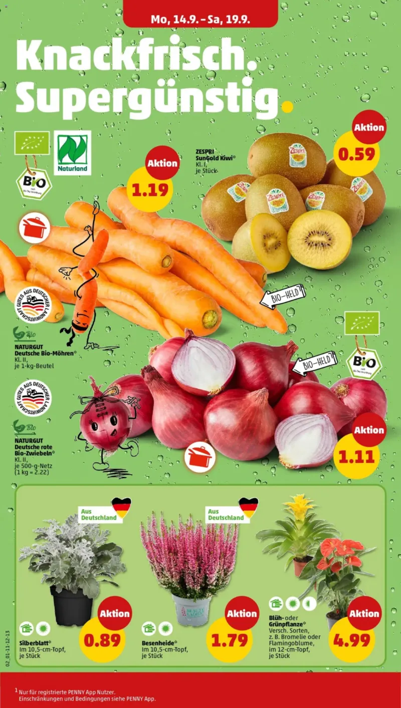 Penny Markt Prospekt vom 14.09.2026, Seite 2