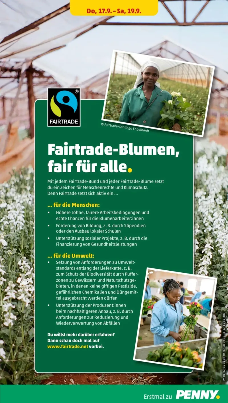Penny Markt Prospekt vom 14.09.2026, Seite 31
