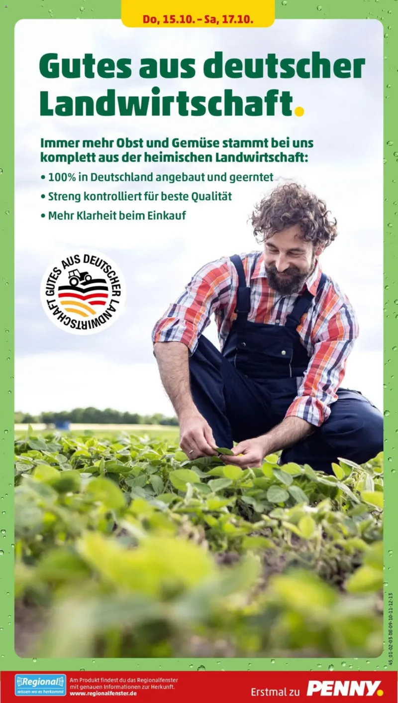 Penny Markt Prospekt vom 12.10.2026, Seite 31