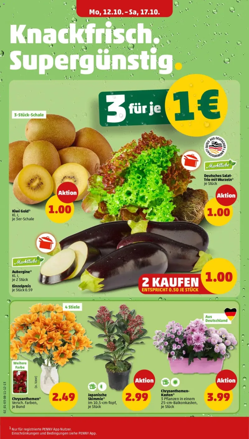 Penny Markt Prospekt vom 12.10.2026, Seite 4
