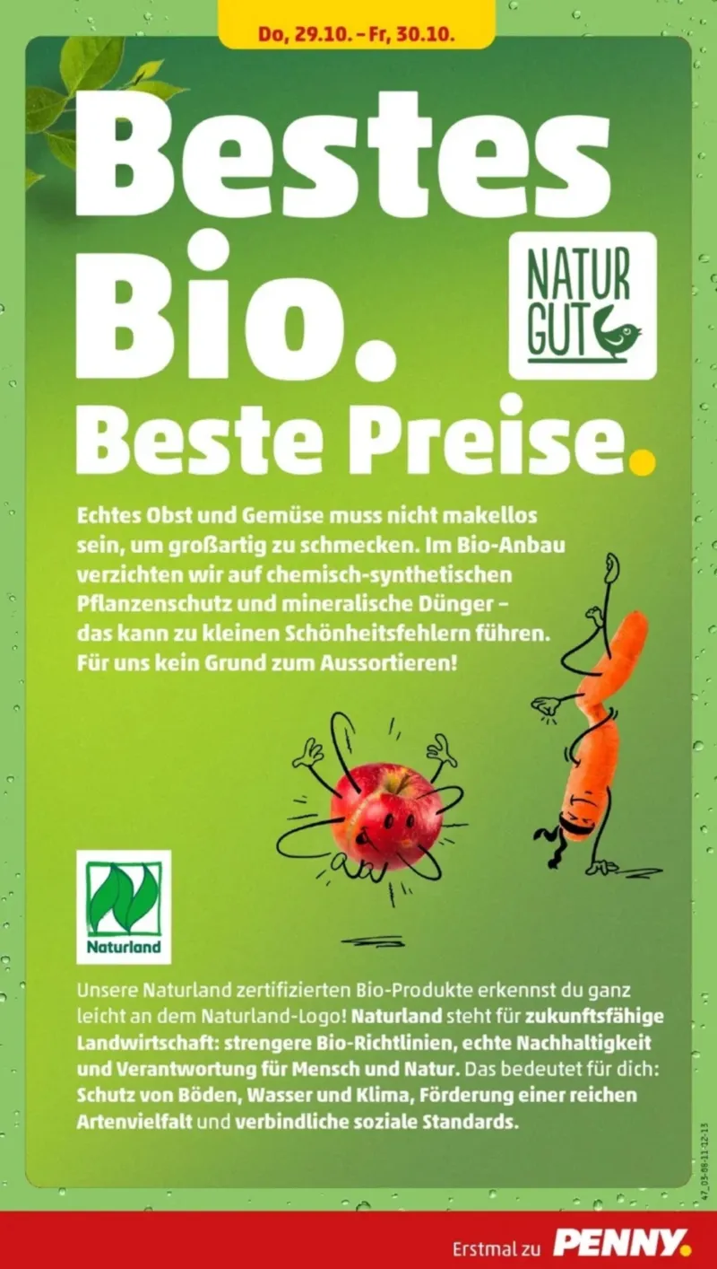 Penny Markt Prospekt vom 26.10.2026, Seite 37