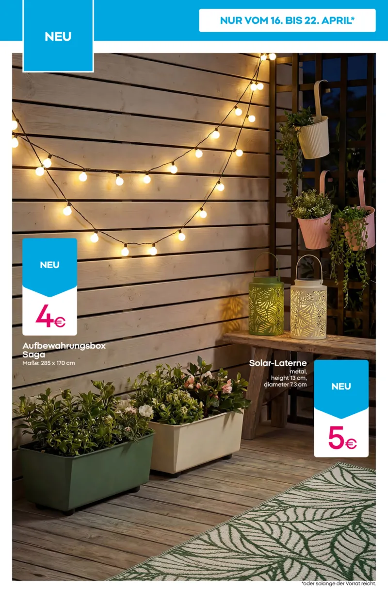 Pepco Prospekt vom 16.04.2026, Seite 12