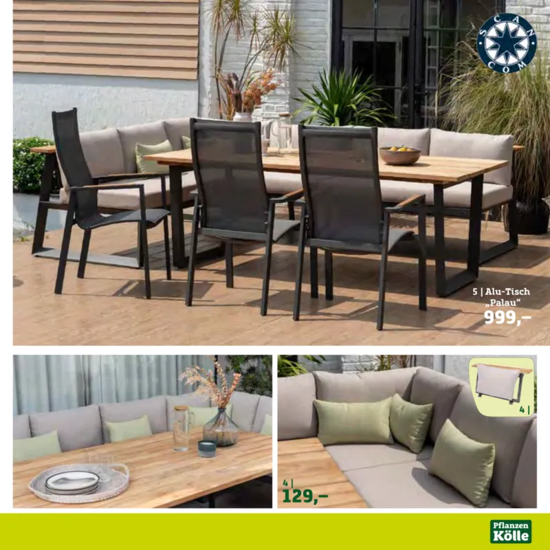 Pflanzen Kölle Prospekt vom 22.01.2025, Seite 11