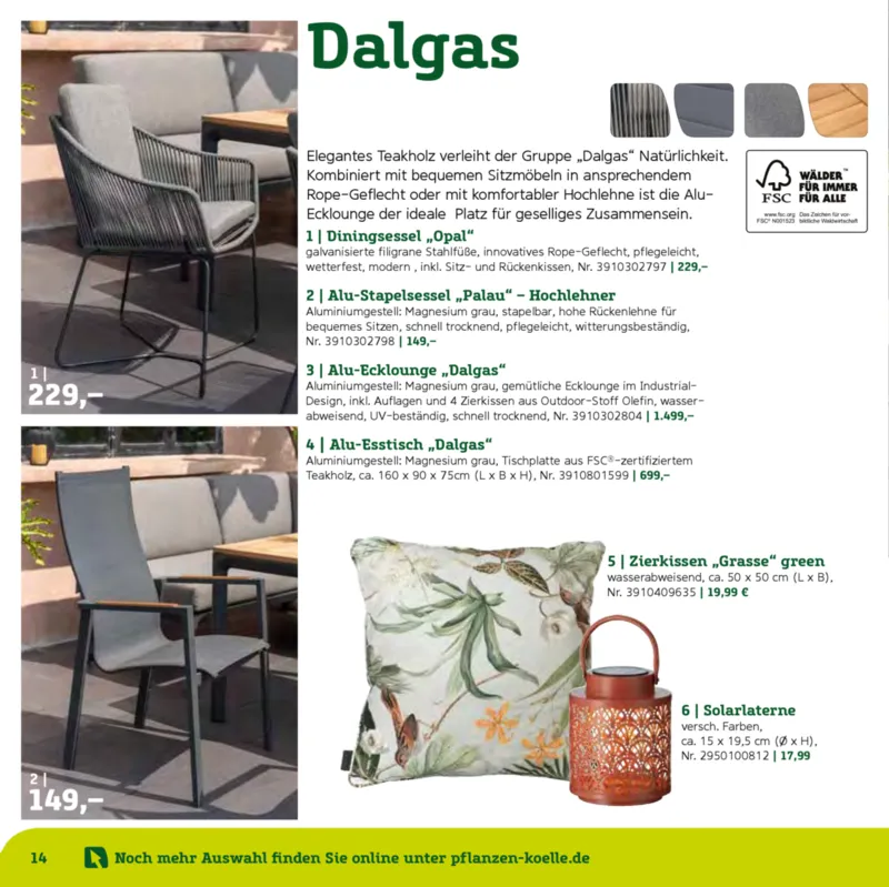 Pflanzen Kölle Prospekt vom 22.01.2025, Seite 14
