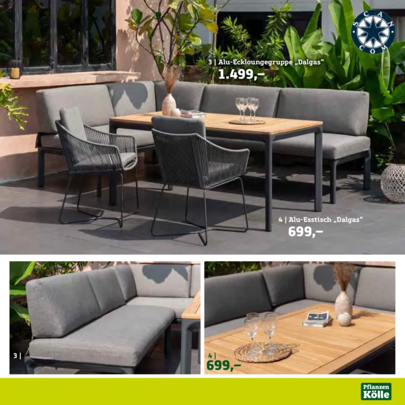 Pflanzen Kölle Prospekt vom 22.01.2025, Seite 15