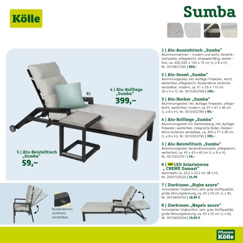 Pflanzen Kölle Prospekt vom 22.01.2025, Seite 23