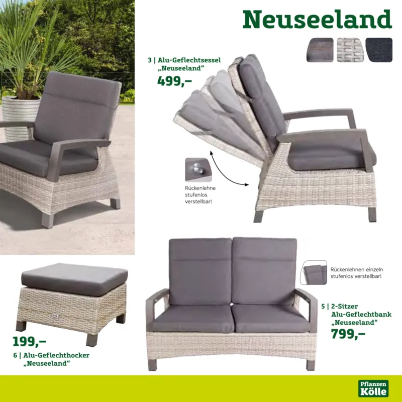 Pflanzen Kölle Prospekt vom 22.01.2025, Seite 35