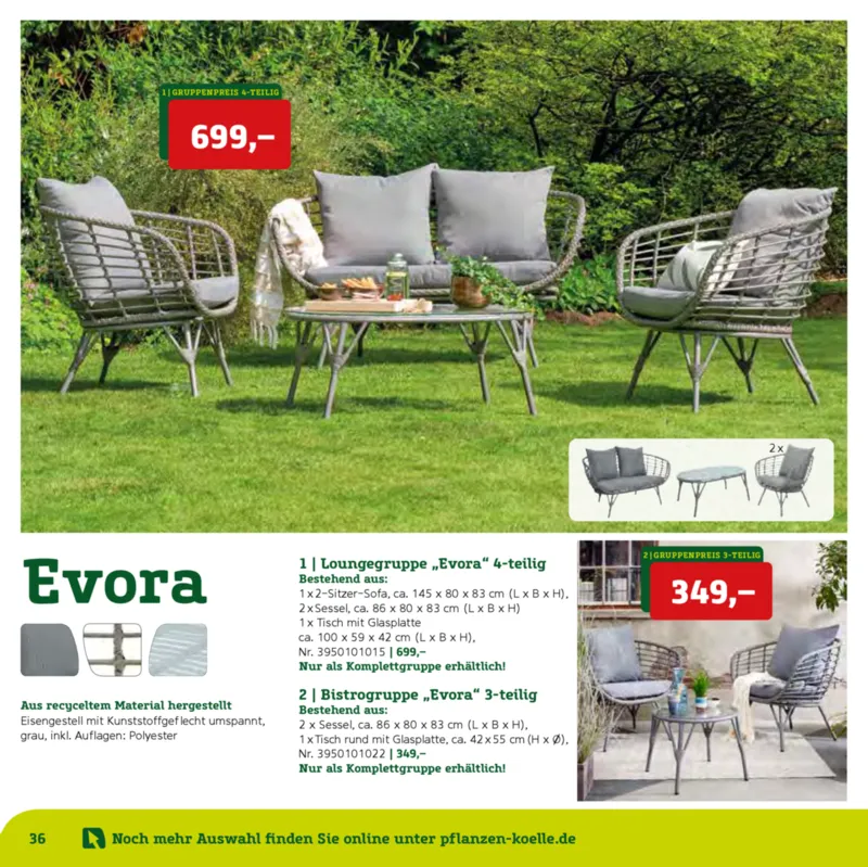 Pflanzen Kölle Prospekt vom 22.01.2025, Seite 36