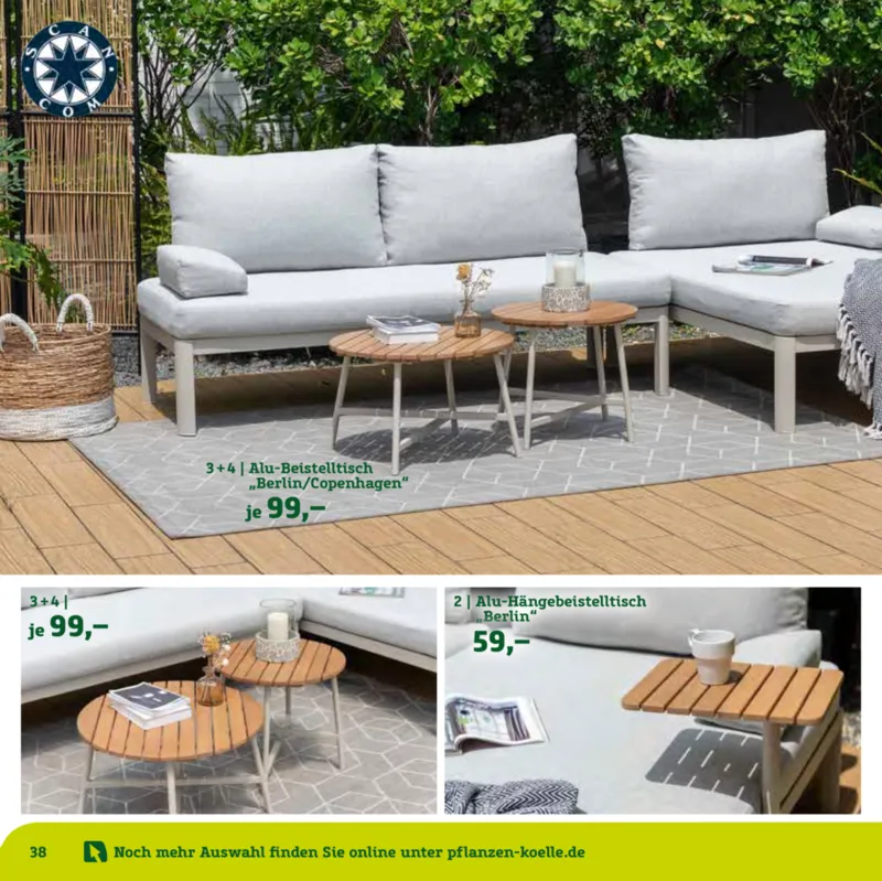 Pflanzen Kölle Prospekt vom 22.01.2025, Seite 38