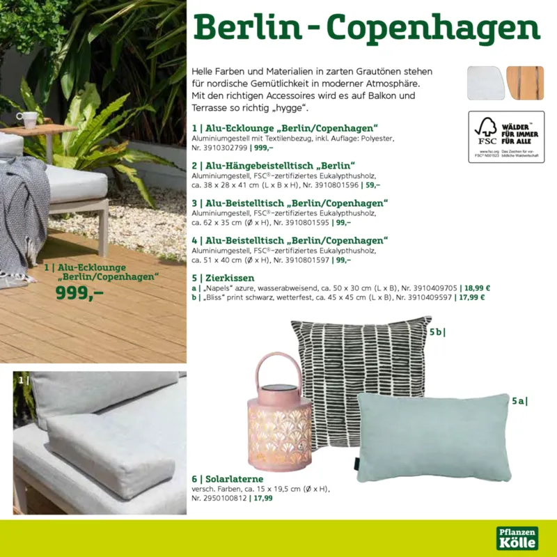 Pflanzen Kölle Prospekt vom 22.01.2025, Seite 39