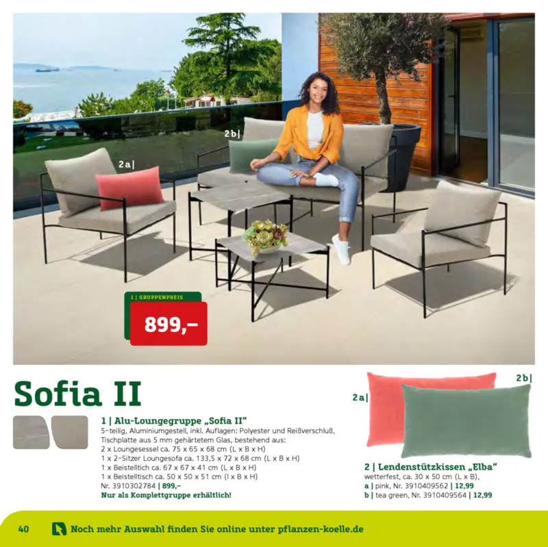 Pflanzen Kölle Prospekt vom 22.01.2025, Seite 40