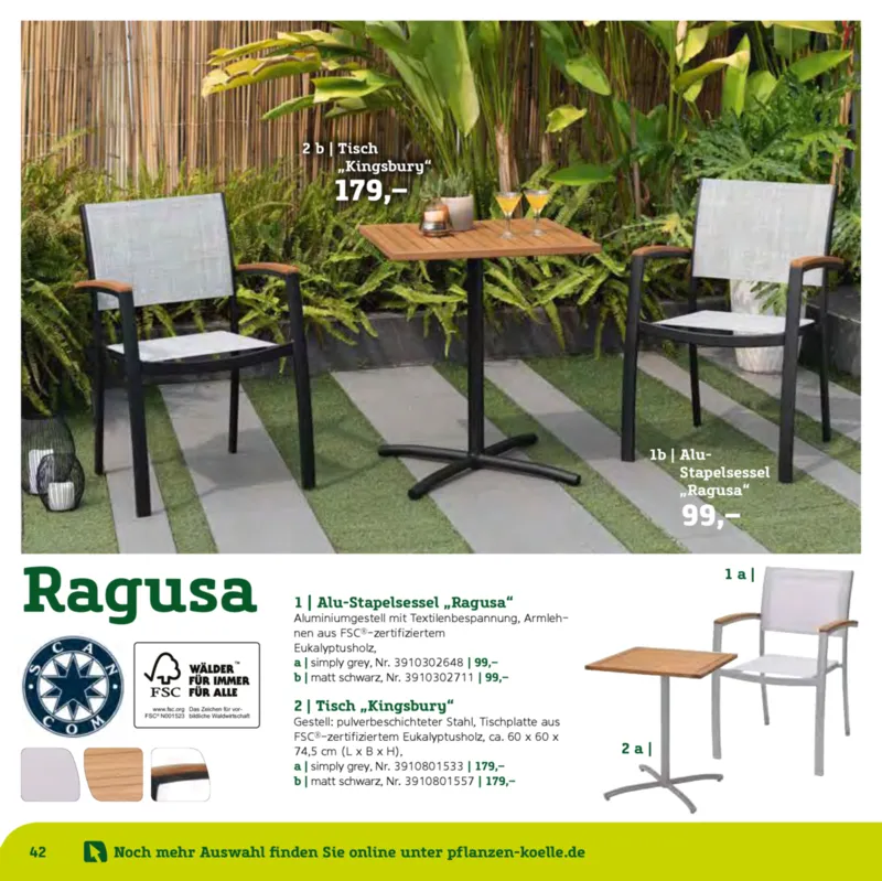Pflanzen Kölle Prospekt vom 22.01.2025, Seite 42