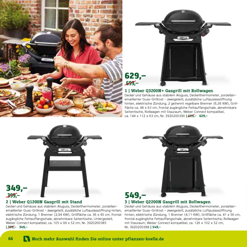 Pflanzen Kölle Prospekt vom 22.01.2025, Seite 66