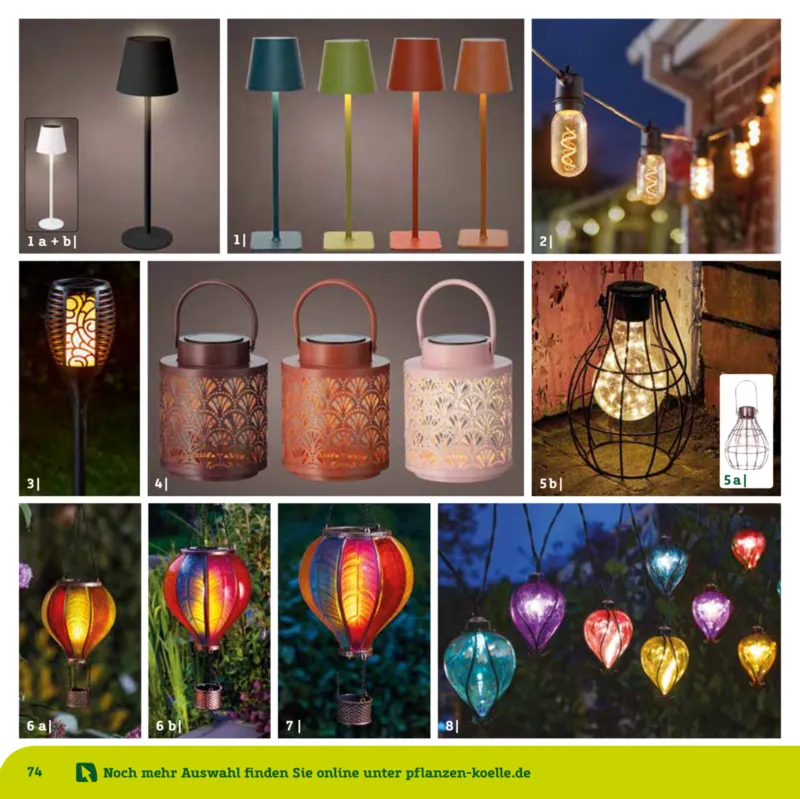 Pflanzen Kölle Prospekt vom 22.01.2025, Seite 74