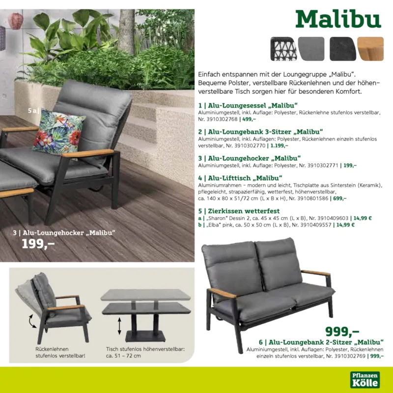 Pflanzen Kölle Prospekt vom 22.01.2025, Seite 9