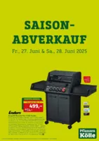 Pflanzen Kölle Prospekt vom 27.06.2025