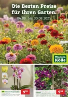 Pflanzen Kölle Prospekt vom 04.08.2025