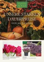Pflanzen Kölle Prospekt vom 30.09.2025
