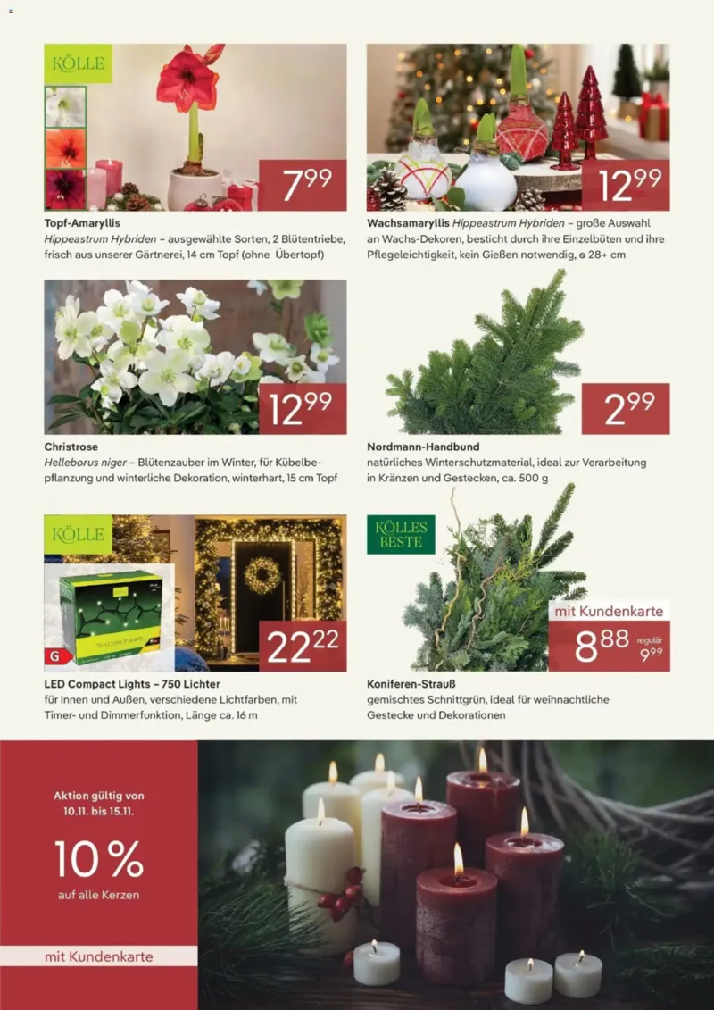 Pflanzen Kölle Prospekt vom 01.11.2025, Seite 2