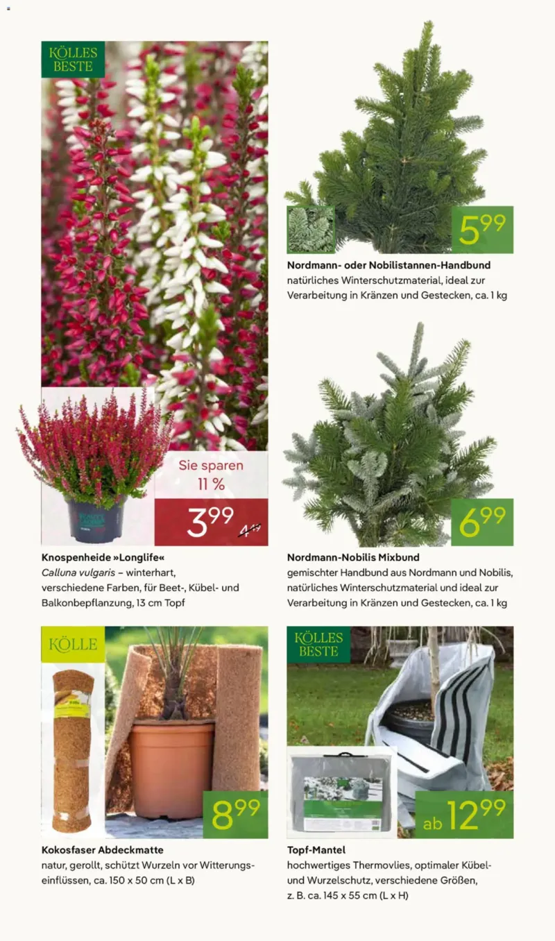Pflanzen Kölle Prospekt vom 03.11.2025, Seite 10