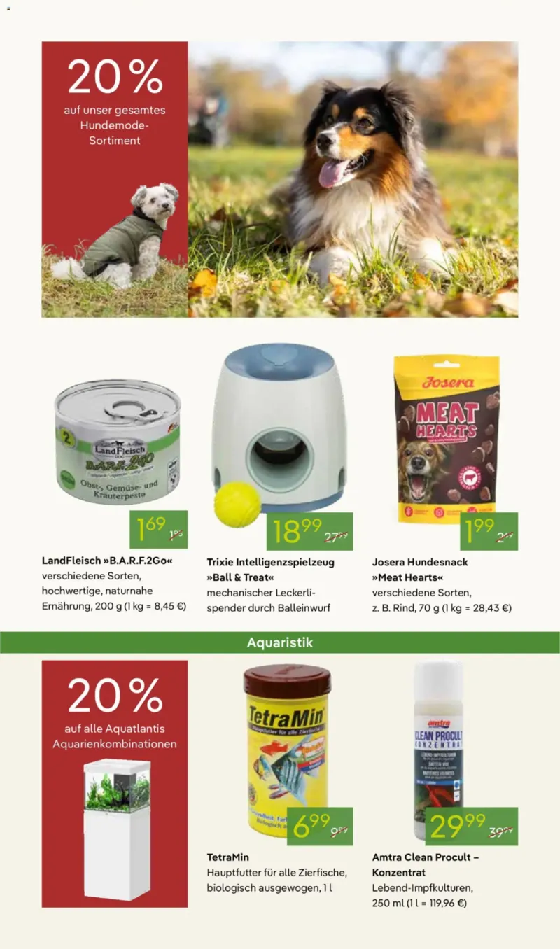 Pflanzen Kölle Prospekt vom 03.11.2025, Seite 17