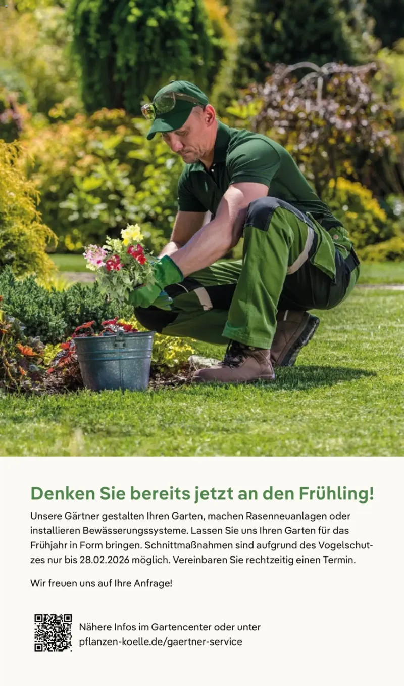 Pflanzen Kölle Prospekt vom 03.11.2025, Seite 19
