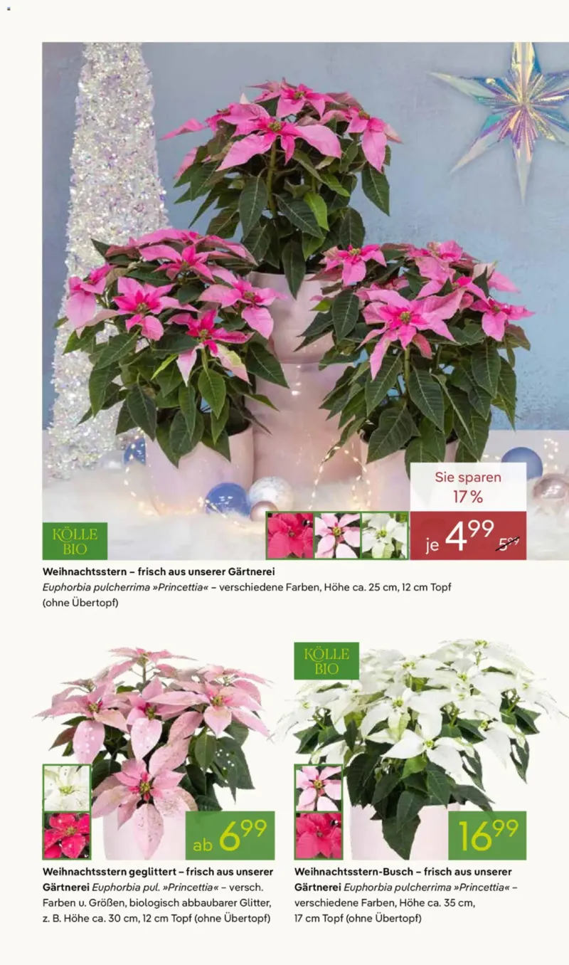 Pflanzen Kölle Prospekt vom 03.11.2025, Seite 2